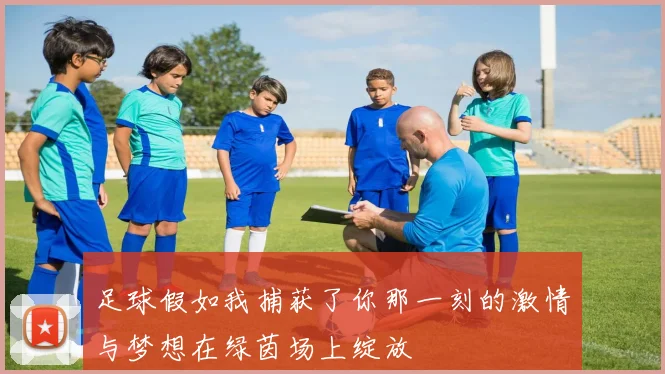 足球假如我捕获了你那一刻的激情与梦想在绿茵场上绽放