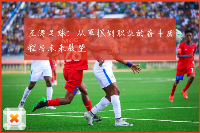 王涛足球：从草根到职业的奋斗历程与未来展望