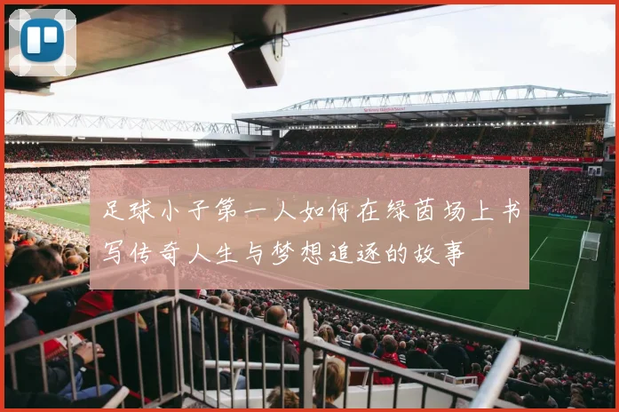 足球小子第一人如何在绿茵场上书写传奇人生与梦想追逐的故事