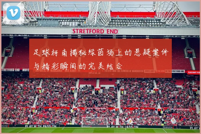 足球柯南揭秘绿茵场上的悬疑案件与精彩瞬间的完美结合