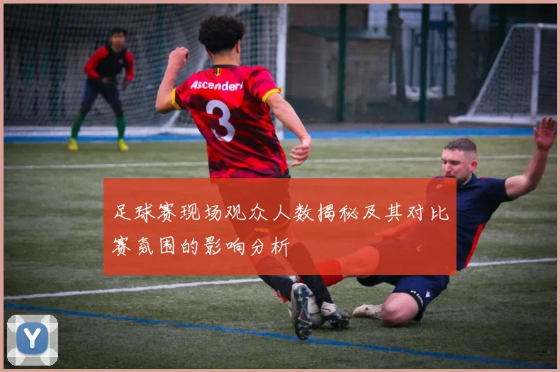 足球赛现场观众人数揭秘及其对比赛氛围的影响分析